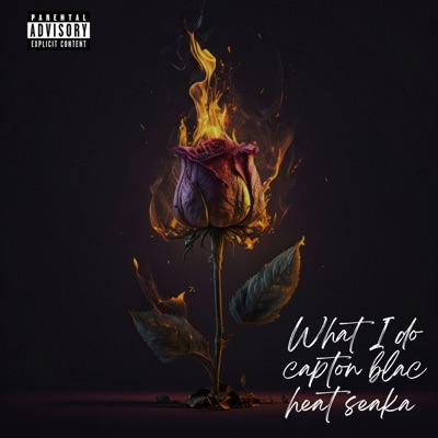 what i do (feat. Heat Seaka) - Single