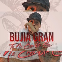 Tu No Eres Un Chiva - Single - Bujia Gram