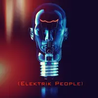 Make Me a Bird — Elektrik People