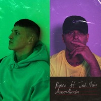 Annorlunda (Radio Edit) [feat. Teck Noir] - Single - Rooze