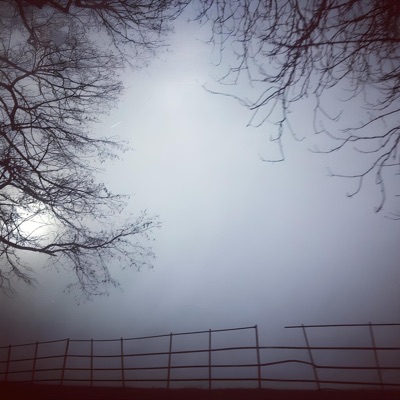 6PAK (feat. untiljapan) - Single