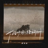 大风吹倒梧桐树 (加速版) - Single - Zerun Hou