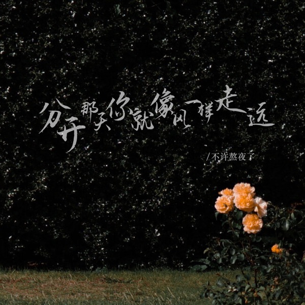 分开那天你就像风一样走远 - Single