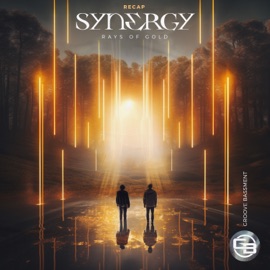 Synergy (Rays of Gold) Recap