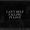 Can't Help Falling In Love