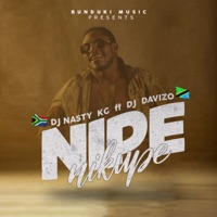 Nipe Nikupe - Single - DJ Nasty KG & Dj Davizo