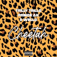 Cheetah (feat. B Wells) - Single - Trilly Trills & Prince AK