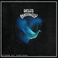 Storm of Fortune - Single - Welles Maddingly