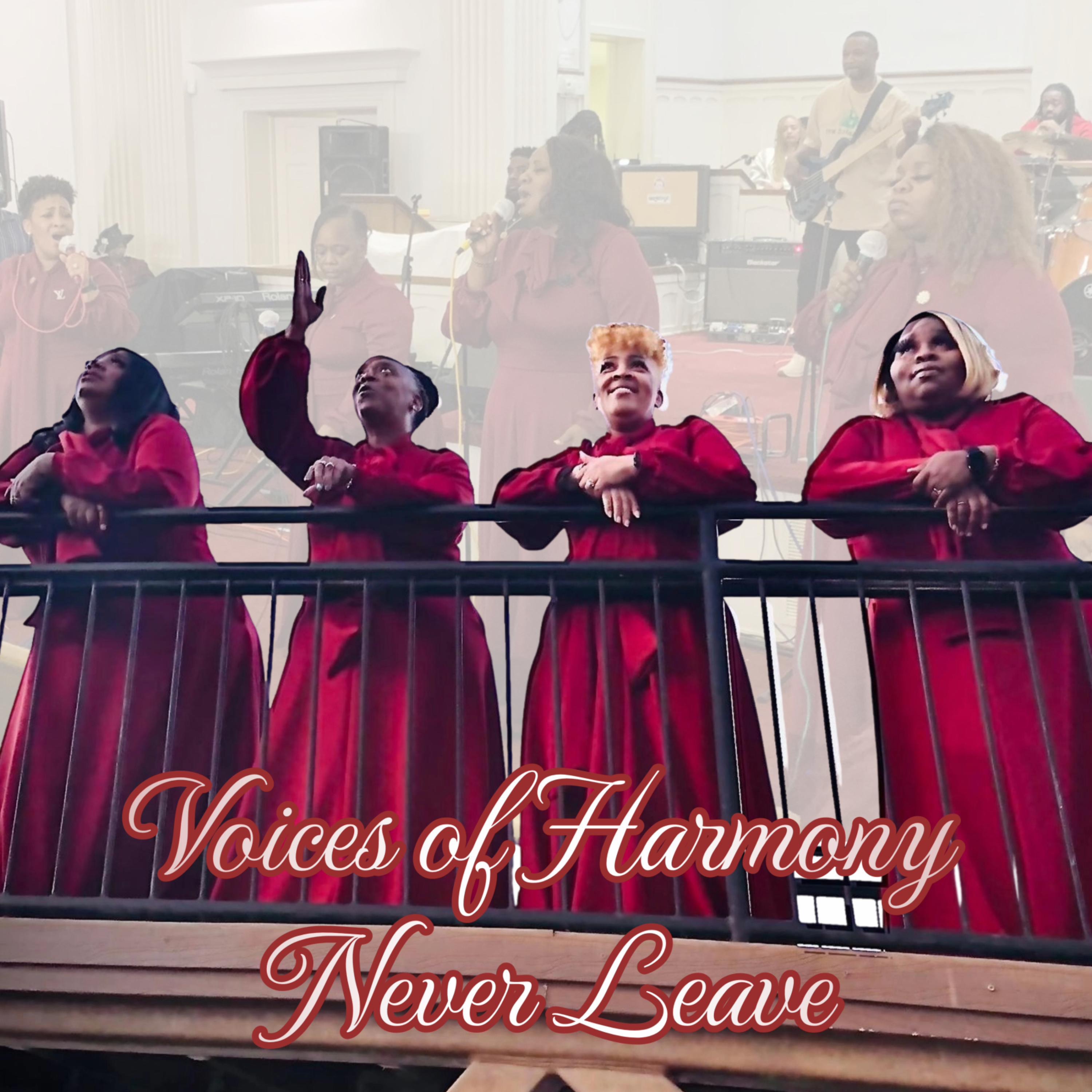 Never Leave - Single