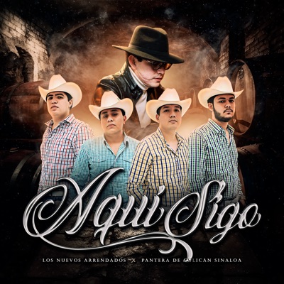 Aquí Sigo - Single
