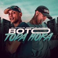 Bôto Toda Hora - Single - Mc lipynho Ds, menezes Mc & DJ Walter