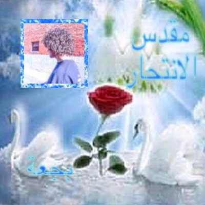 $Acred $Uicide - Single