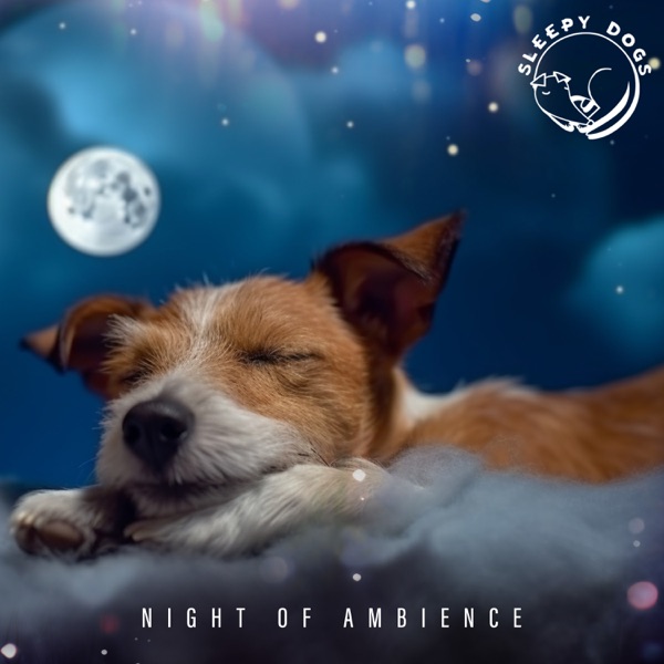 Night of Ambience