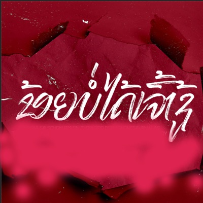 ຂ້ອຍບໍ່ໄດ້ເຈົ້າຊູ້ (feat. Pipo DerNi, Thanakone Kmx, G- Phoenix, STS73, TA J, TEMPLE-BOY, Sin Thobi, PHONE LAS & GENIUS Flow) - Single