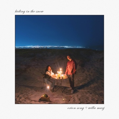Hiding in the Snow - Single