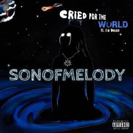 Cried For the World (feat. Bo Dean) Sonofmelody