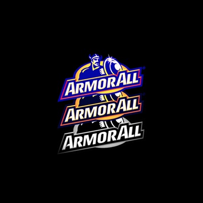 Armor All - Single