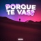 Porque Te Vas? artwork