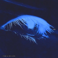 (I Thought You Made a) Promise - Single - Cope