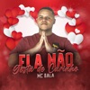 Ela Não Gosta de Carinho - Single