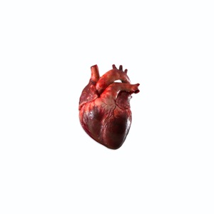 What Is Love - Single