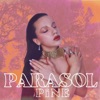 Parasol Pine - Single