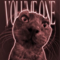 Meevin Records Vol.1 - Single - dubbedyoshhi