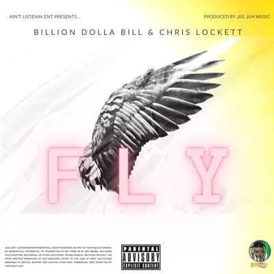 FLY (feat. Chris Lockett) - Single