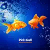 Pèl De Gall - Cada minut