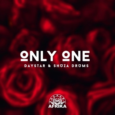 Only One (feat. Shuza Drums) - Single
