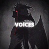 Voices - Single