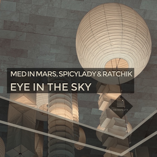 Eye in the Sky - Single