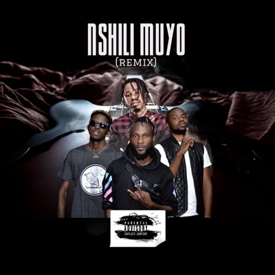 Nshili Muyo (feat. King Amaka & Ninebo Chileshe) [BadNews Remix] - Single