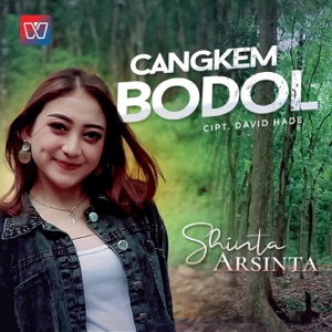 Chord Gitar Cangkem Bodol - Shinta Arsinta
