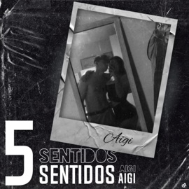 5 SENTIDOS AiGi
