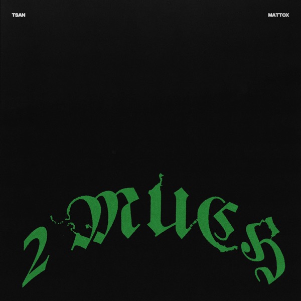 2 MUCH (feat. Matt Ox) - Single