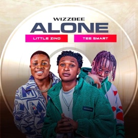 Alone Wizzbee, Little Zino & Tee Smart