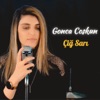 Çiğ Sarı - Single
