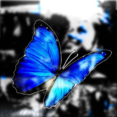 I'm So Sorry - Single