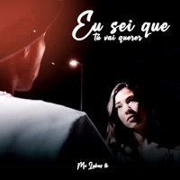 Eu Sei Que Tú Vai Querer (feat. DJ TNT) - Single - Mc Lukas LK