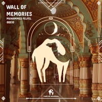 Wall of Memories - Single - Muhammed Felfel, Obeidmusic & Cafe De Anatolia
