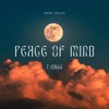 Peace of Mind - Single