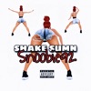 Shake Sumn - Single