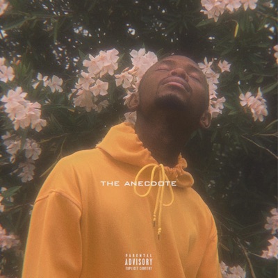 The Anecdote - EP