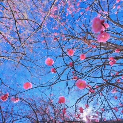 Speed of Sound - Single