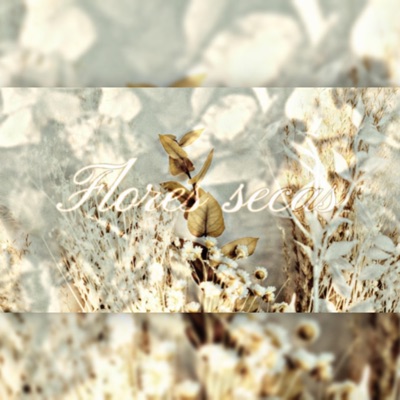 flores secas - Single