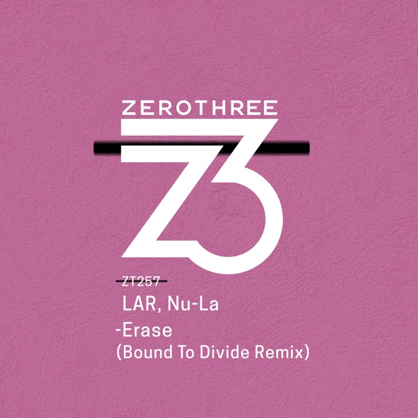 Erase (Bound to Divide Remix) - Single