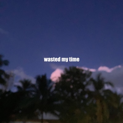 Wasted My Time - Single