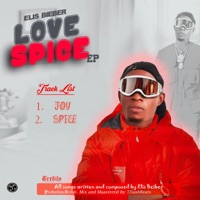 Spice - Single - Elis Bieber