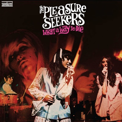 Song - What a Way To Die - The Pleasure Seekers
